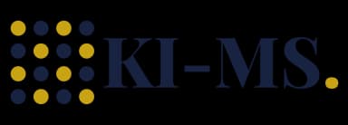 KI-Managementsolutions GmbH